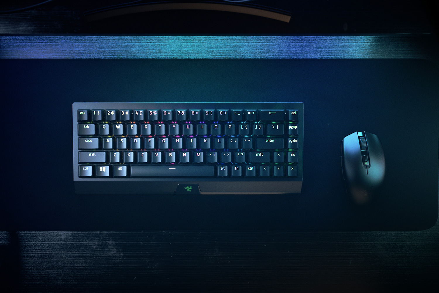 Razer BlackWidow V3 Mini HyperSpeed, цвет: Зелёный — фото 7