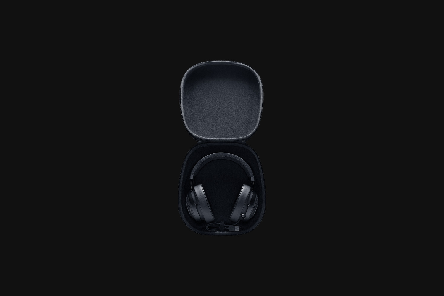 Razer Headset Case — фото 2