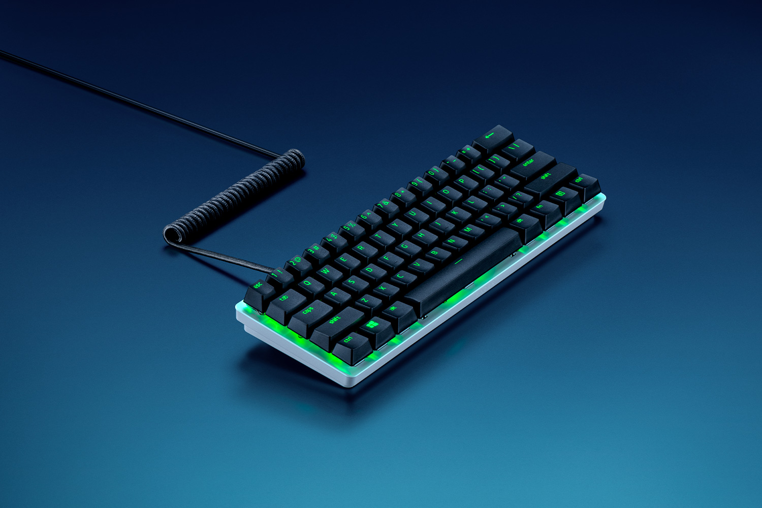 Razer PBT Keycap + Coiled Cable Upgrade Set, цвет: Чёрный — фото 2